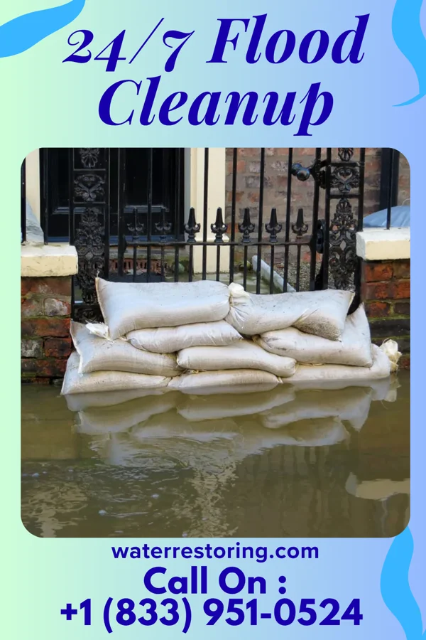 24/7 Flood Cleanup in Wolf Lake, MN